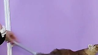 Giantess Maid Pussy