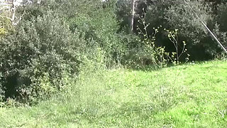 Milf brunette pounded in the woods