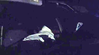 Teen Addy Broke Sucks Stranger's Dick in Car and Takes Cum in Mouth