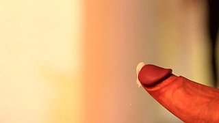 The Pussy Lover (part 2)