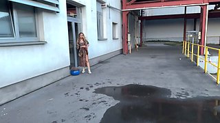 Hunt4k. hunter ran into a sexy female in public and banged her in the fortune-telling parlour