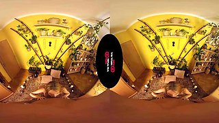 VR Hottie: Blowjob, Doggy  Cowgirl Porn