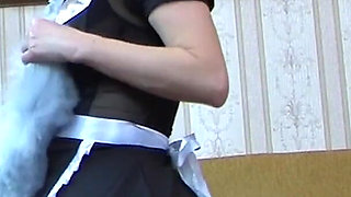 Adventures of a Perverted Maid.