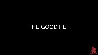 The Good Pet - Kink