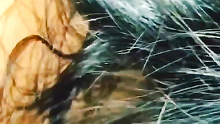 Nepali New Video.Sali Nani Sng Aja Ko Rat.