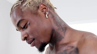 a fruit salad of fuckable beauty