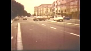 Vulgar Capricious Pig