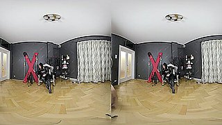 Mistress Aidaa - Cleaning, Eating And DrinвЂ¦!; Busty Domme 3D Porn