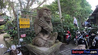 Monkey business and couple intercourse at home