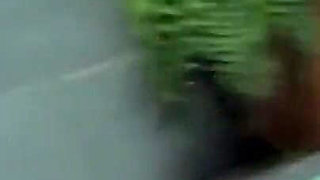 Unsuspecting Italian Women in Dolci Maialone E Giovani Ninfomani a Complete Homemade Video