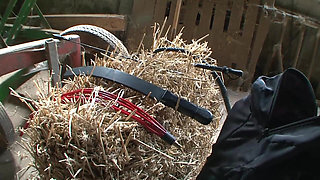 BDSM Babes Get Tied, Whipped and Ass Toyed