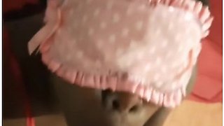 Jack Gets Sucked - Big Facial Cumshot - Sally Loves It !!!