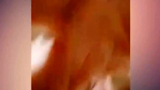 Grandpa's Horny Webcam Show