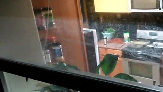voyeuring booty stepdaughter in kitchen