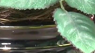 Hot milf rides big cock deeply into her horny pussy