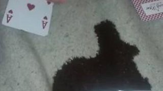 Thick Stepsister Strip Poker