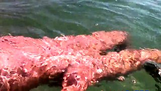 Naked Swimming MILF at the Beach