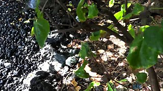 Bustys Cam Webcam Big Boobs Free Big Boobs Cam Porn Video