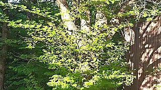 Teasing and Masturbating Out in the Woods