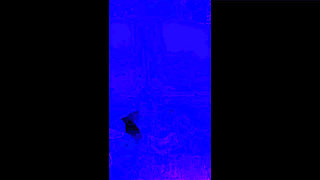 Blue Bathroom Romance - Sucking, Fucking and Cumming on her