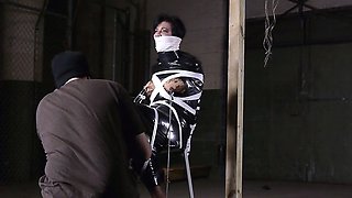 Erotic Fetish Hardcore BDSM Artwork