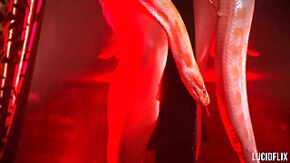 LUCIDFLIX After dark with Vanna Bardot