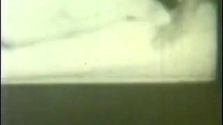 The Neighborhood Whore