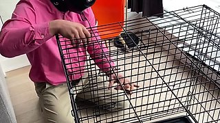 Lord Goddess Maria - Introducing The Slave To Its Cage