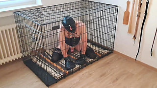 Blindfolded Caged Sissy Slave - Locked away while Mistress enjoys her Lover