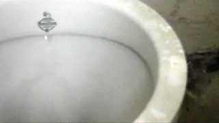 Toilet Slave