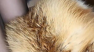 Fuck Fur, Squirt and Pee on Fur