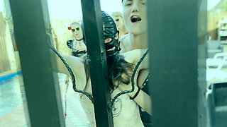 FLESH RIPPED - EXTREME lezdom CARNAGE