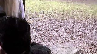 Blonde slut hardcore fuck and blowjob
