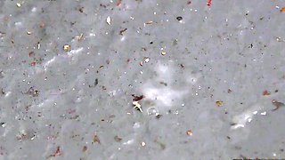 CFNM babes cockuskcing in glory hole