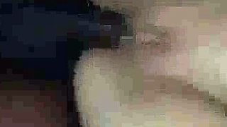 Homemade Husband and Wife Fucking pp