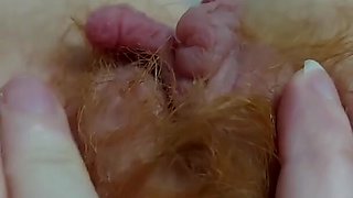 Hairy goddess shows off her juicy pussy up close