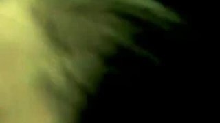 Trailer464