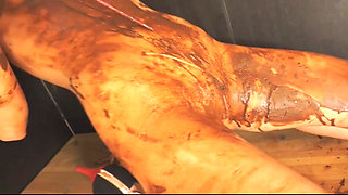 The Big Return of Little Caprice