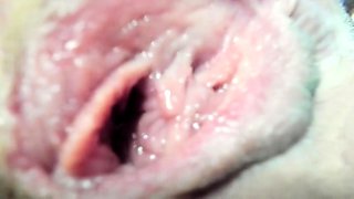 Obese EXGF Close Up Oral Job Sex Cook Jerking Cum Taste