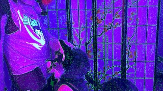 Webcam Amateur Blowjob Webcam Free Girlfriend Porn Video
