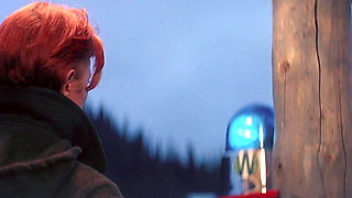 The Man Who Fell to Earth (1976)