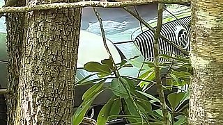 She's Caught Pussy Rubbing in the Woods Squirting on Her Car Hood