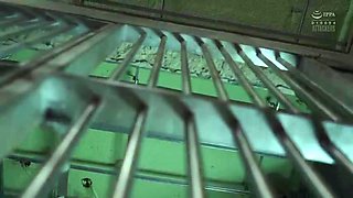 QXTTNBCTUKSZNLCRMS44ATID647