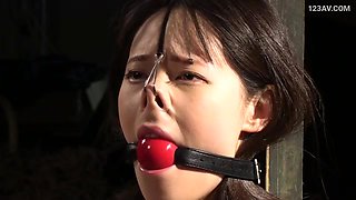 Rope's Lewd Flower: SM, Shame, and Bondage with a Beautiful Woman. Asian Erotic Video. x4xFEC0F87C501EA81918