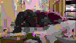 Sophia & Vicky Spa Day Anal Fuck - BDSM Group Sex Submission - 3D Hentai Animation