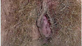 Hairy Pussy Girl Peeing Close Up In The Toilet Labia Spread With Wide Open Pee Hole