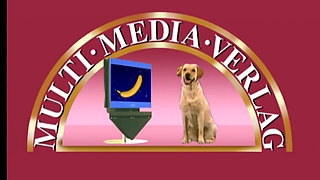 Big Stud Pounds Two Horny BBW Sluts in Park Threesome!