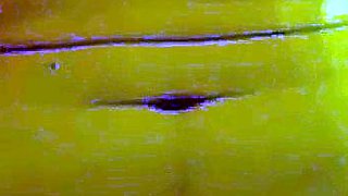 Homemade Video of a Mature Asian Couple