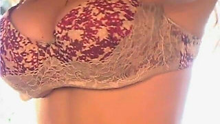 Shay's