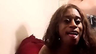 N2 The Gene Pool Black and Ebony